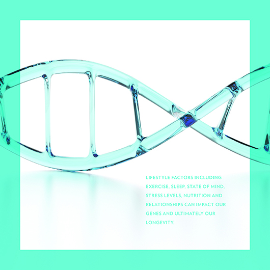 DNA Helix | Lifestyle factors including exercise, sleep, state of mind, stress levels, nutrition and relationships can impact our genes and ultimately our longevity.