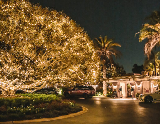 Night time view of RV tree and valet circle