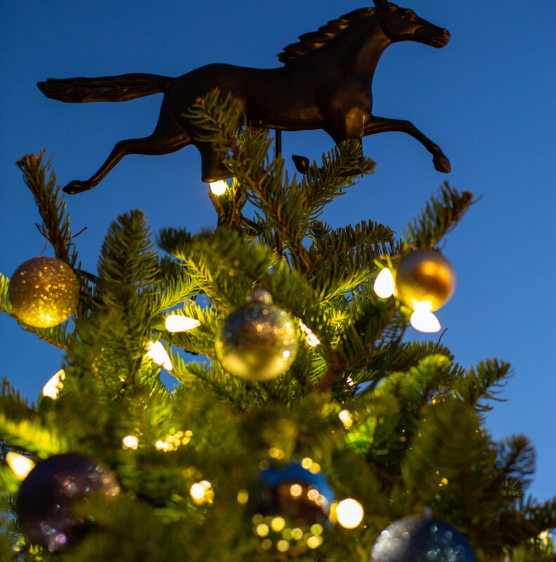 A horse figure atop a Christmas tree at Rancho Valencia Resort & Spa, a 5 star hotel in San Diego.