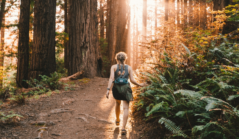 women hiking in the woods