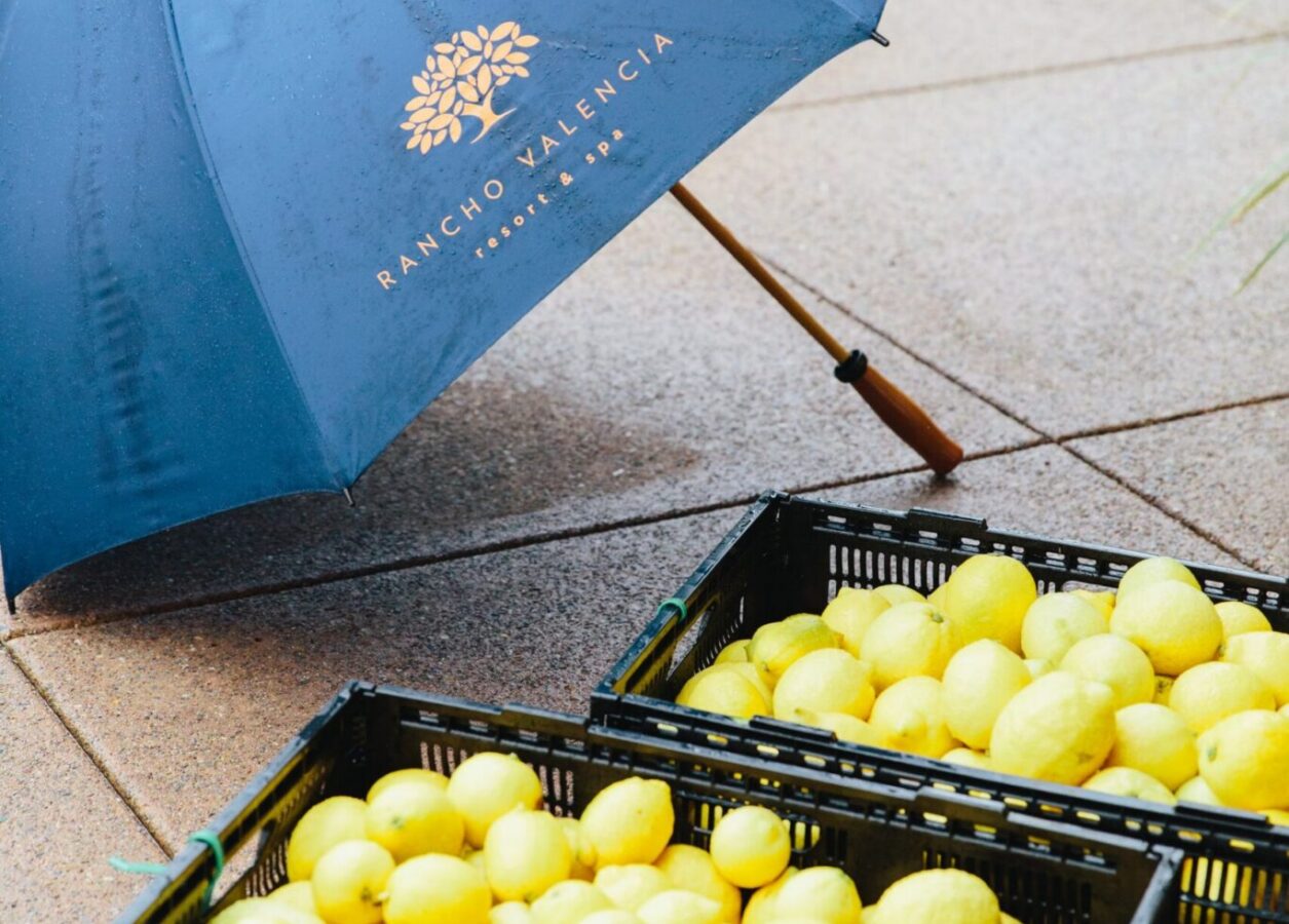 crates full of lemons