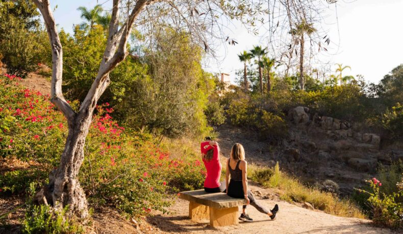 two women doing yoga outside