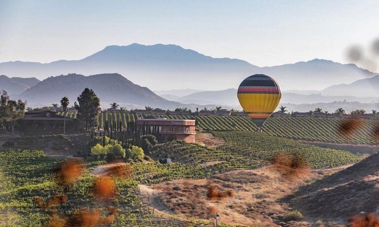 Hot Air Balloon over vineyards